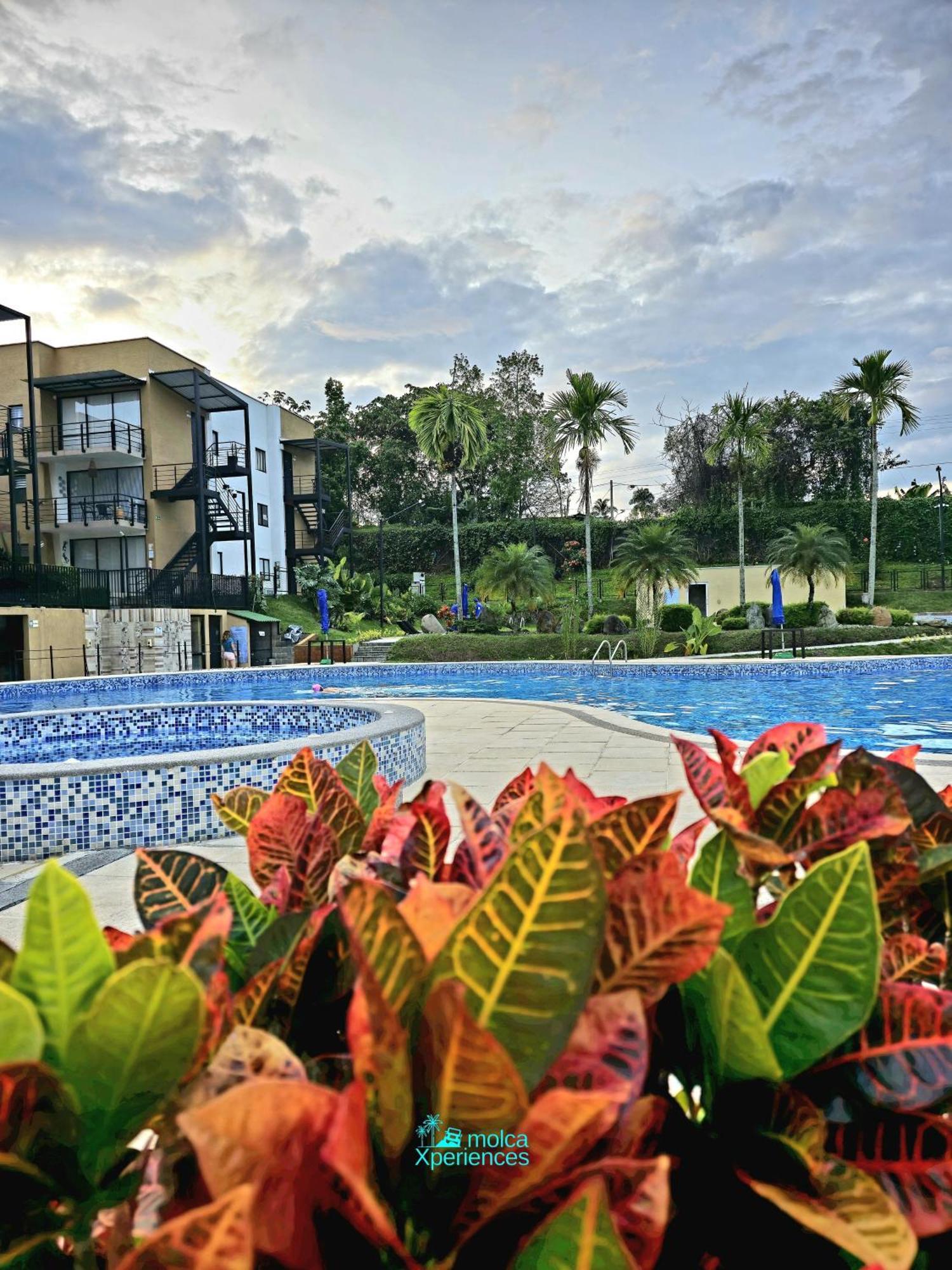 Apartamento Privado Vacacional A 5M Del Aeropuerto, 20 Minutos Del Parque Del Cafe Y Centro De Armenia Con 4 Piscinas, 3 Jacuzzi, Sauna By Molca Xperiences 3H Екстер'єр фото